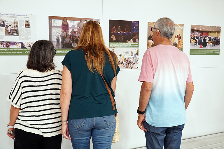 LOLIVERA 25 anos Exposição Web