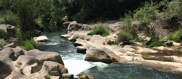 MEDI AMBIENT: Els ecologistes exigeixen la retirada del Pla Director Urbanístic de les Vies Blaves que afecta el Llobregat, el Cardener i l’Anoia