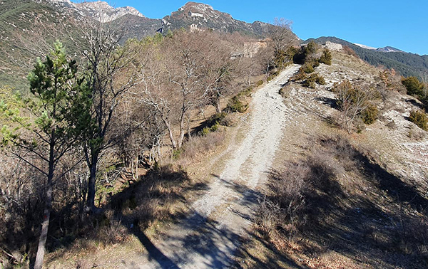 SOCIETAT: La Diputació aprova un programa per la millora de camins municipals dotat amb 10 milions d'euros