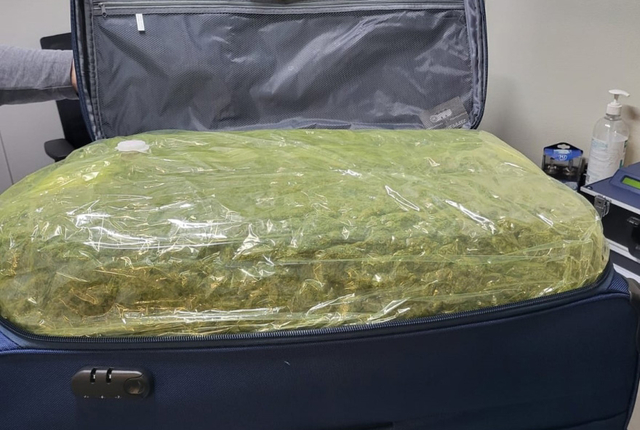 SUCCESSOS: La Policia Local de Vallirana comissa més de 18 quilos de marihuana en un control rutinari