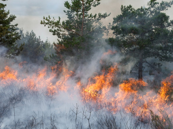 Protecció Civil alerta d'un risc extrem d'incendi que afecta el Baix Llobregat i el prelitoral