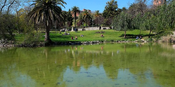 Cornellà inicia una prova pilot ecològica per renaturalitzar l’aigua del llac de Can Mercader