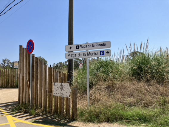Territori licita per 852.000 euros les obres del nou carril bici paral·lel a la C-31 a Viladecans