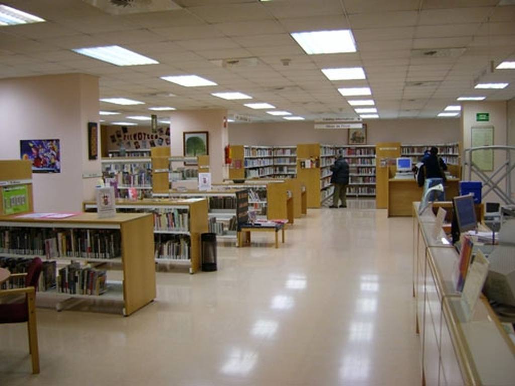 L’any 2014 hi havia censades a la comarca 56 biblioteques