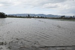 La DANA de dilluns passat no va perjudicar les zones industrials de la nostra comarca, sinó també va incidir amb virulència en el sector agrari.