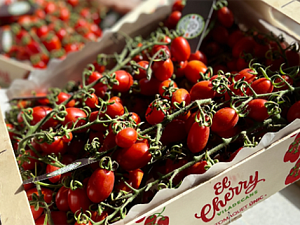 Els tomaquets, un dels productes estrella de Viladecans