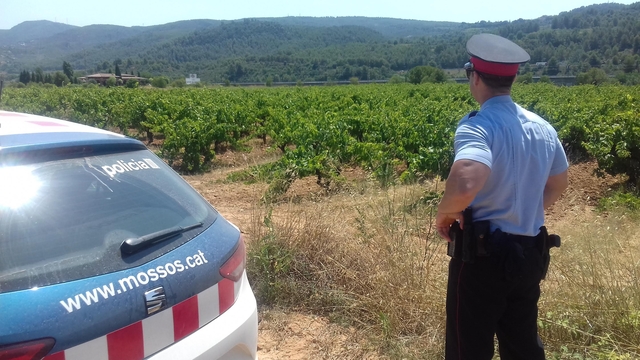mosso parc agrari llobres