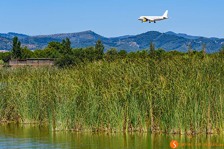 avion delta llobregat cataluna