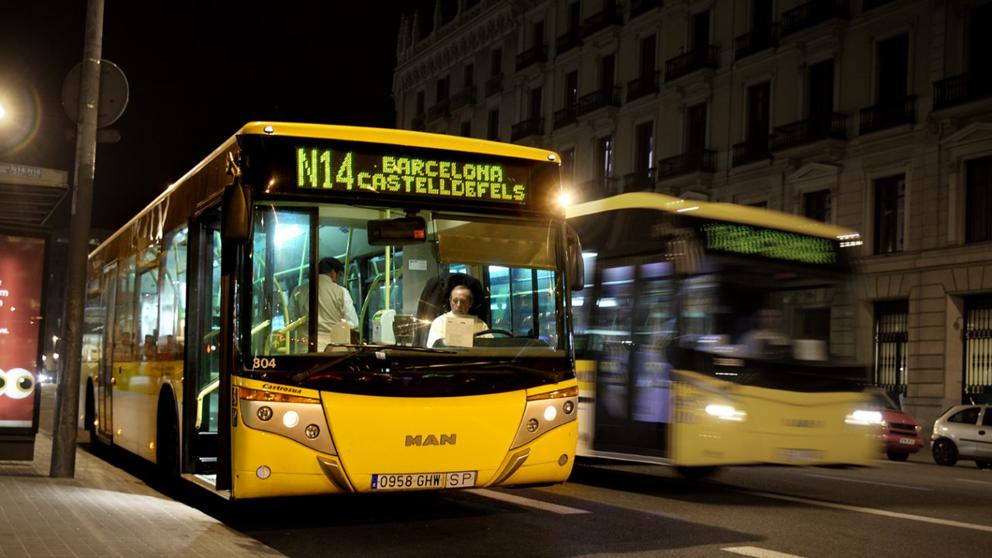 nit bus