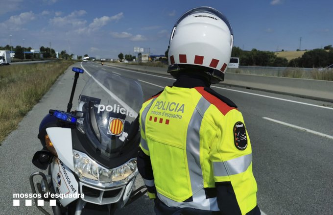 motorista transit