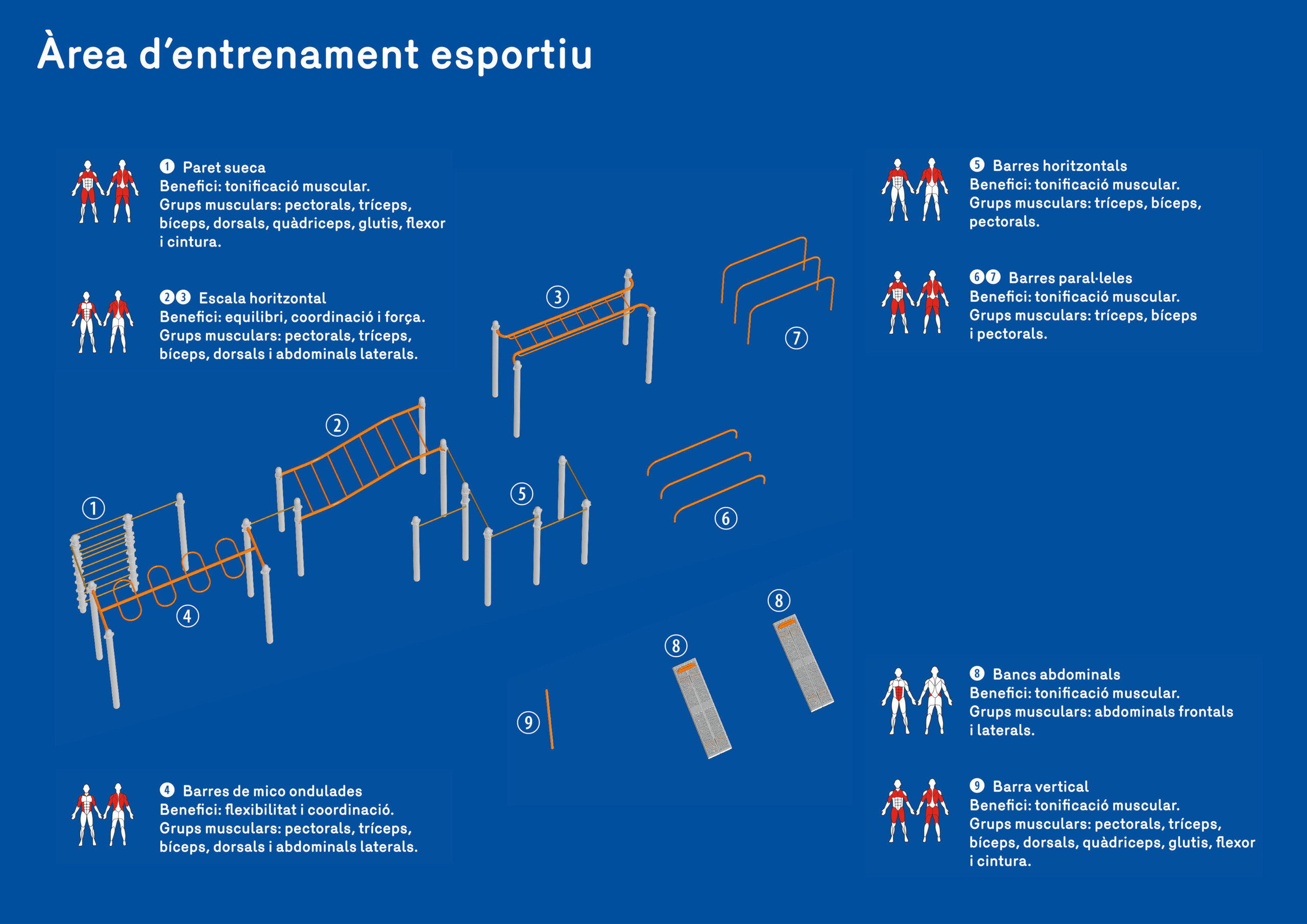 Platges Arees entrenament esportiu