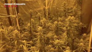 Captura de pantalla 2022 06 19 a las 10.54.43