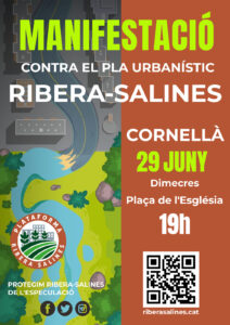 Cartell Mani 29 juny