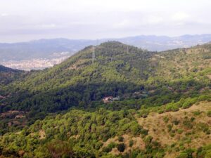 Turó de la Coscollera
