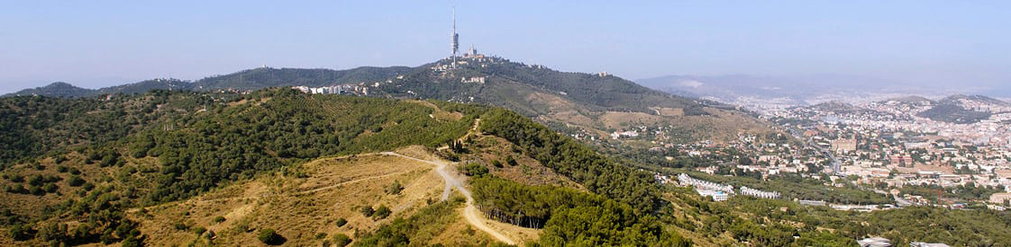Collserola robertpeña