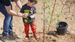 plantada sjd 2