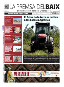 MAIG Nº: 181