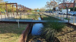 Castelldefels inicia el 2 de novembre la neteja de la corredora de la Rambla Marisol