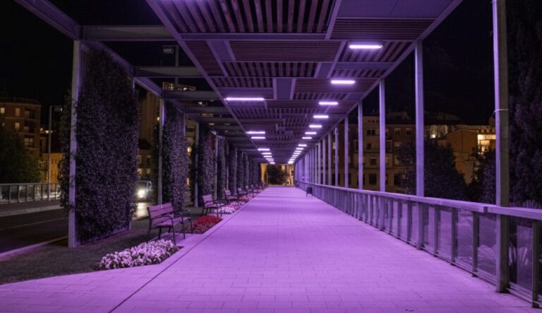 Martorell il·lumina el Pont d’Anoia de lila pel dol perinatal i gestacional