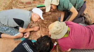 Les restes trobades al Castell de Castelldefels són d’una dona medieval