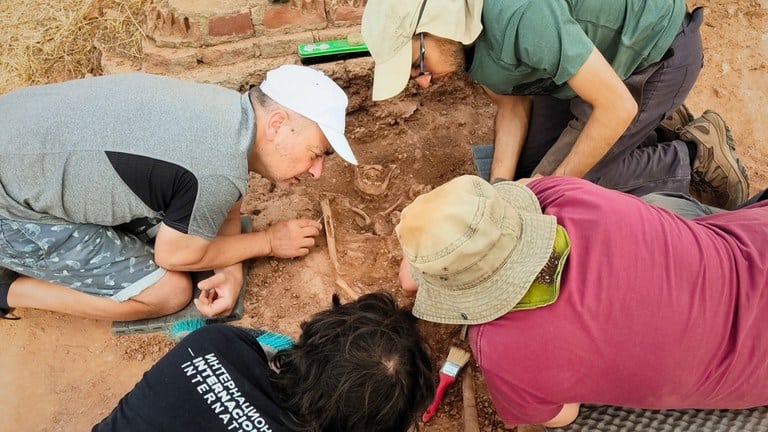 Les restes trobades al Castell de Castelldefels són d’una dona medieval