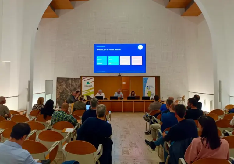 El Consell Esportiu del Baix Llobregat aprova el seu nou Pla Estratègic
