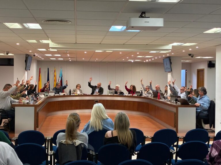 Sant Andreu de la Barca inicia tractaments preventius contra la processionària del pi