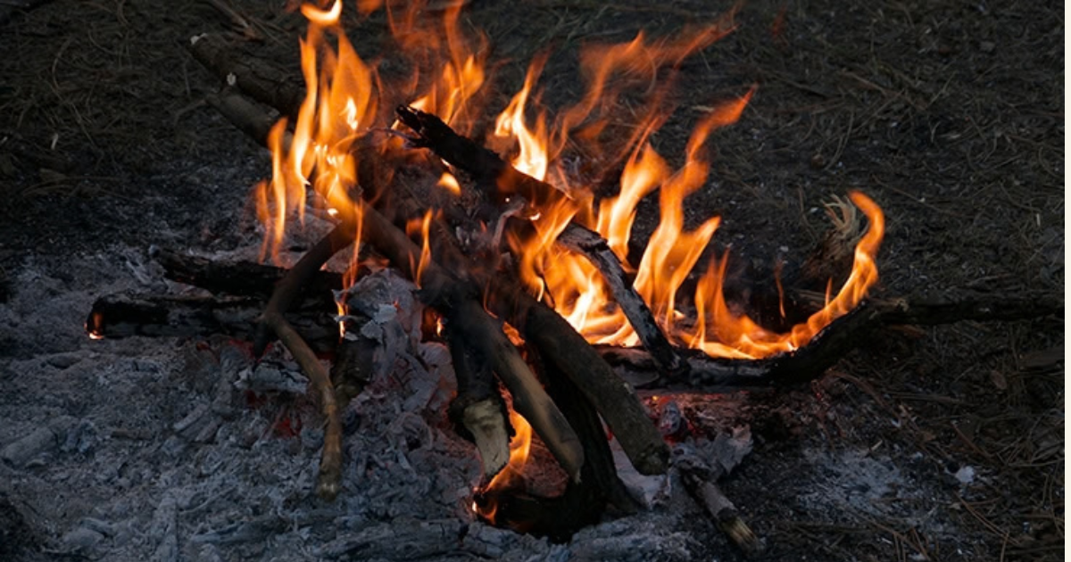 Cal comunicar abans de fer foc en terrenys forestals a Catalunya